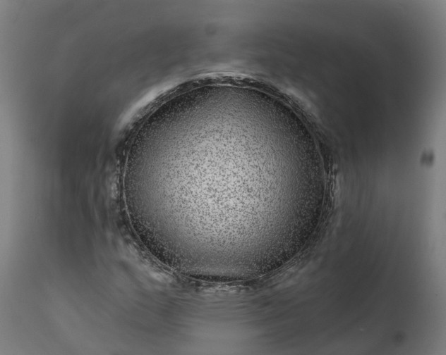 X0000111641159200907311245