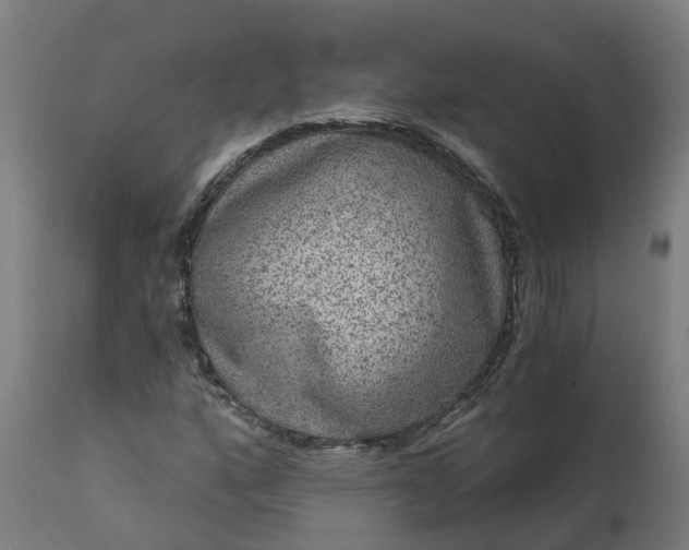 X0000111641160200907311245