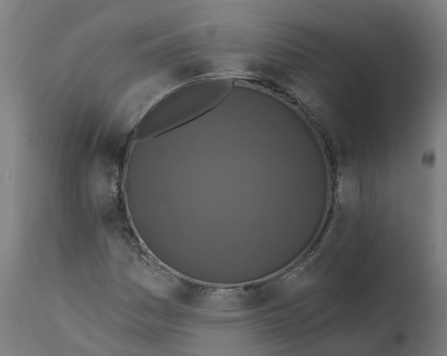 X0000111641161200907311245