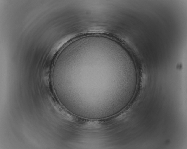 X0000111641162200907311245