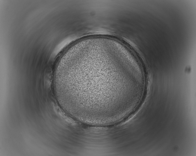 X0000111641163200907311245