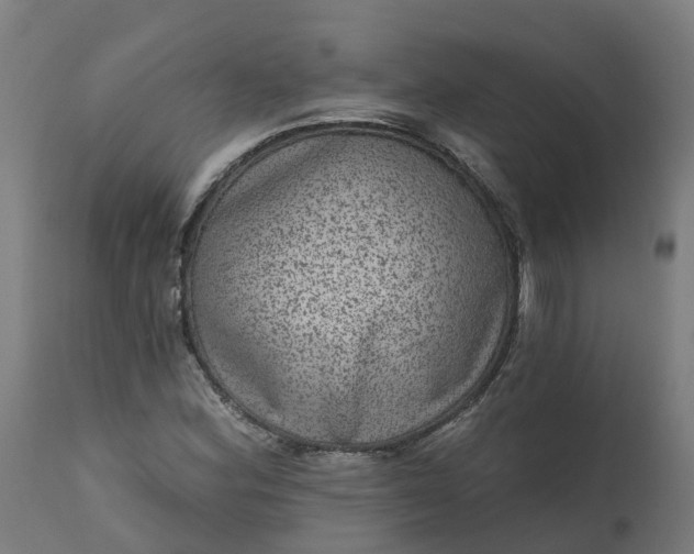 X0000111641164200907311245