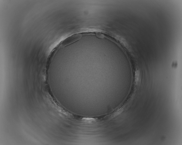 X0000111641165200907311245