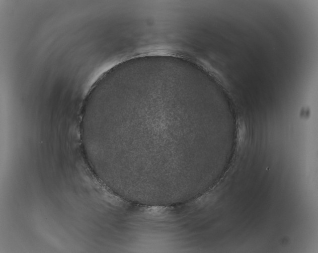 X0000111641166200907311245