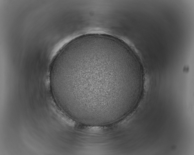 X0000111641167200907311245