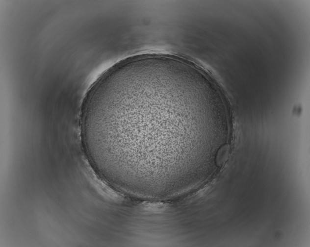 X0000111641168200907311245