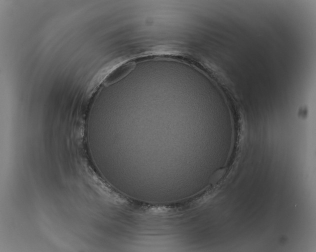 X0000111641169200907311245