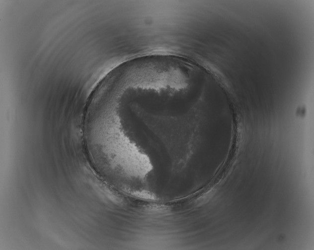 X0000111641170200907311245