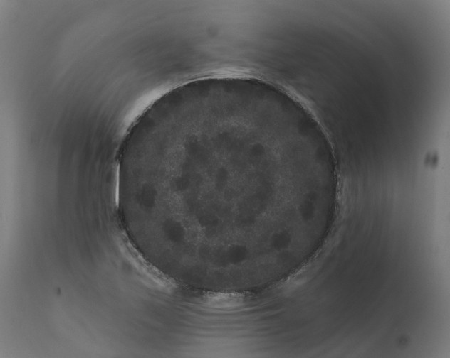 X0000111641171200907311245