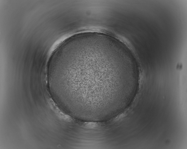 X0000111641172200907311245