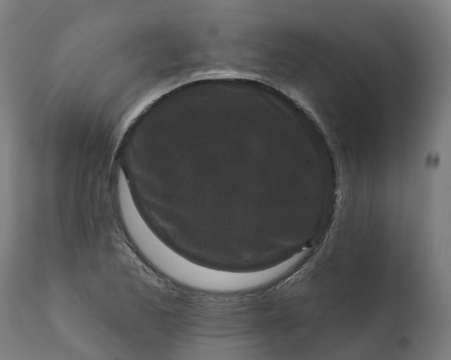 X0000111641173200907311245