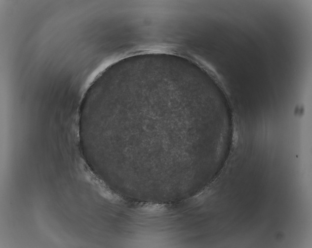 X0000111641174200907311245