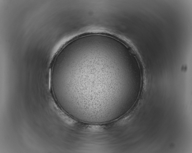 X0000111641175200907311245