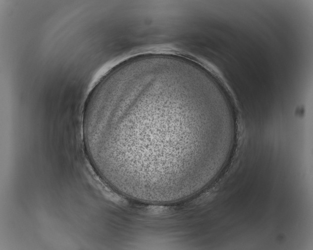 X0000111641176200907311245