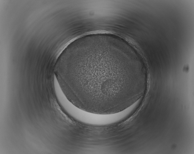 X0000111641177200907311245