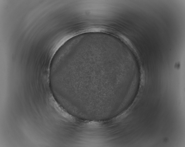 X0000111641178200907311245