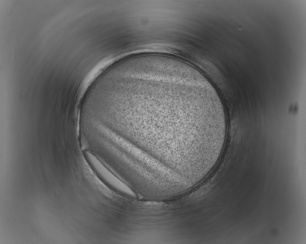 X0000111641180200907311245