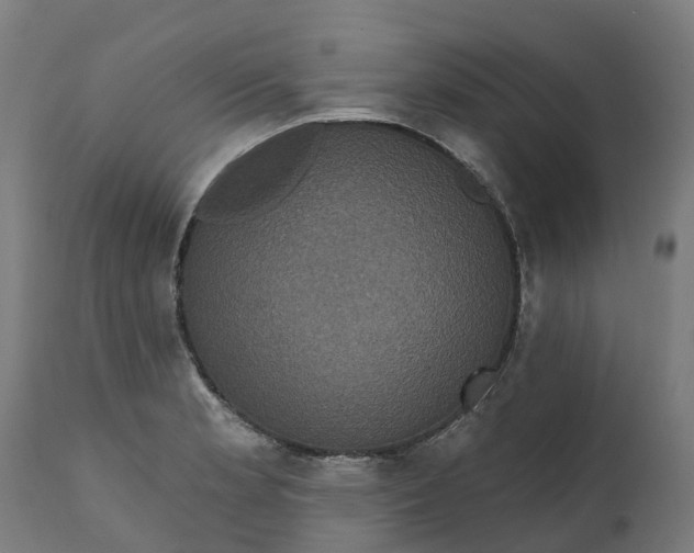 X0000111641181200907311245