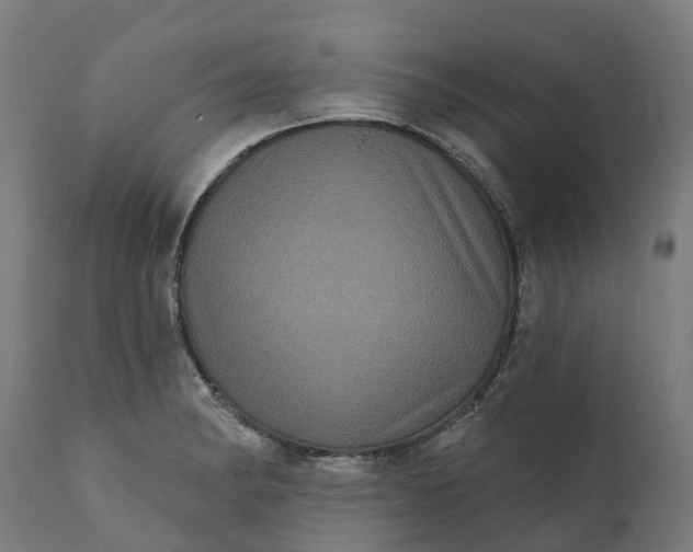 X0000111641182200907311245