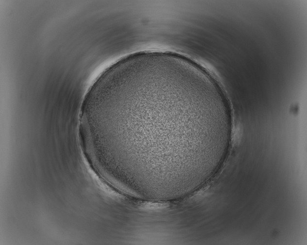 X0000111641183200907311245