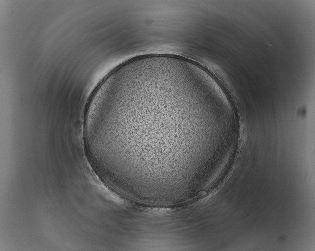 X0000111641184200907311245