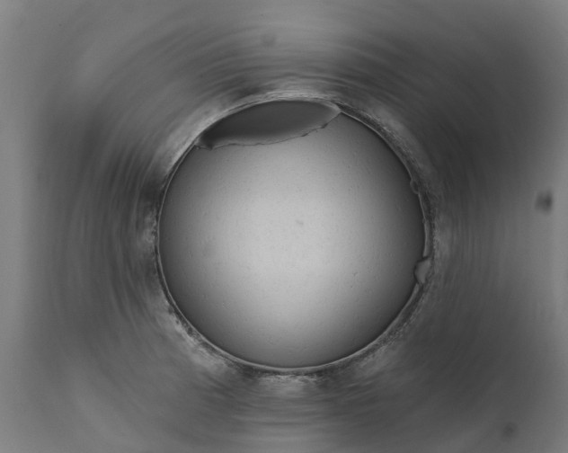 X0000111641185200907311245