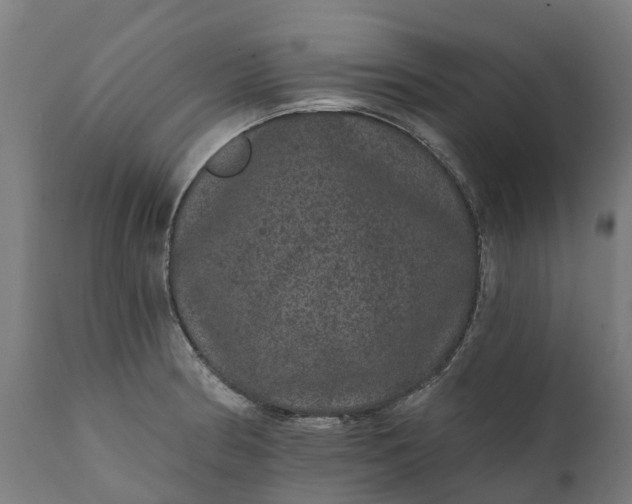 X0000111641186200907311244