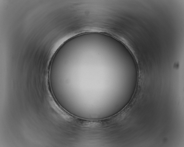 X0000111641187200907311244