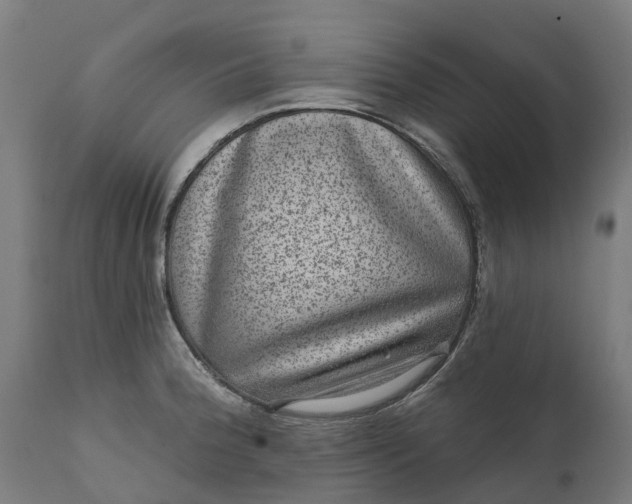 X0000111641188200907311244