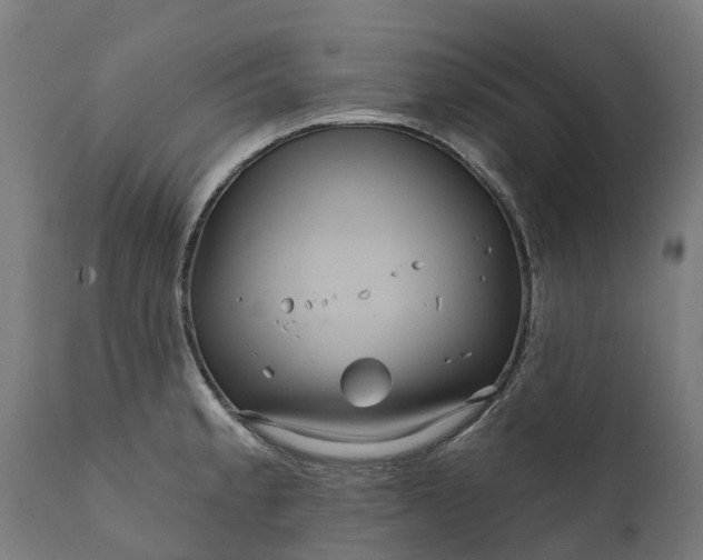 X0000111641189200907311244