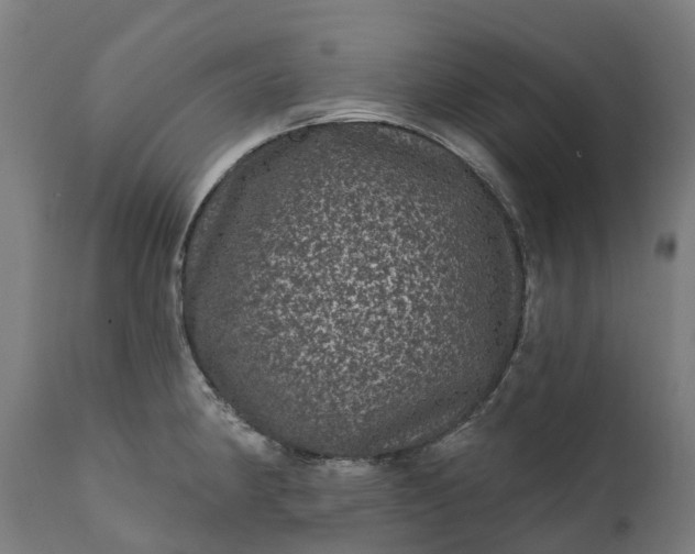 X0000111641190200907311244