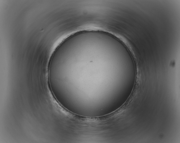 X0000111641191200907311244