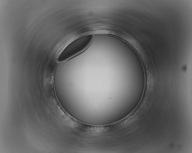 X0000111641193200907311244