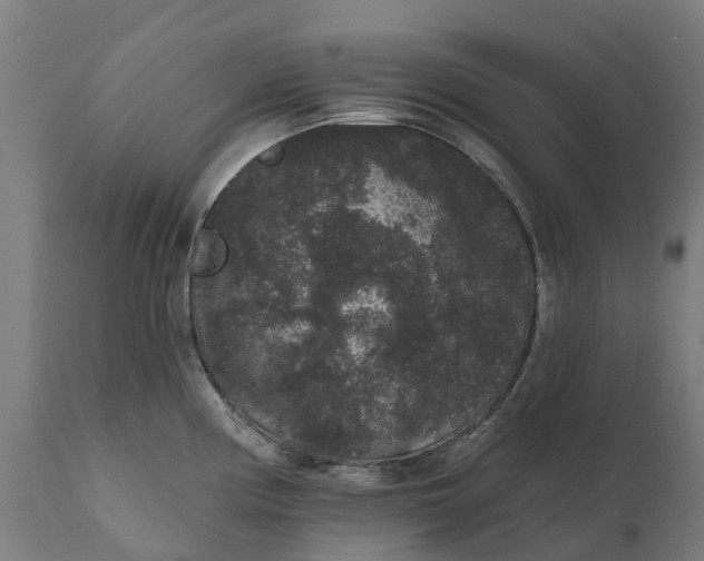 X0000111641194200907311244