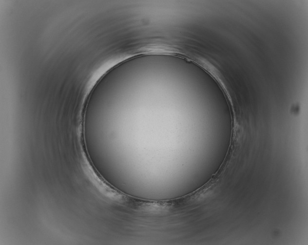 X0000111641195200907311244