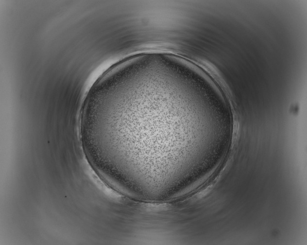 X0000111641196200907311244