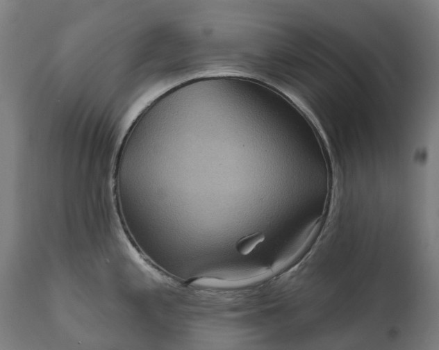 X0000111641197200907311244