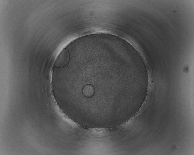 X0000111641198200907311244