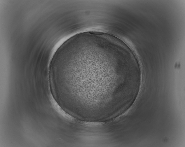 X0000111641200200907311244