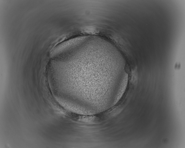 X0000111641201200907311244