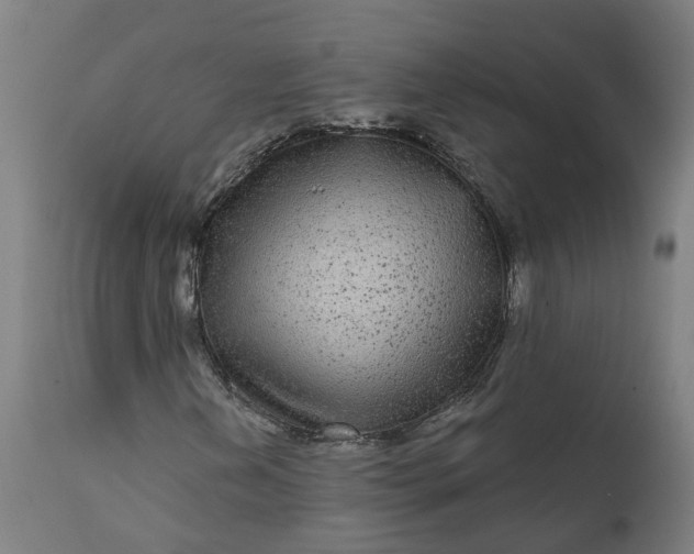 X0000111641202200907311244