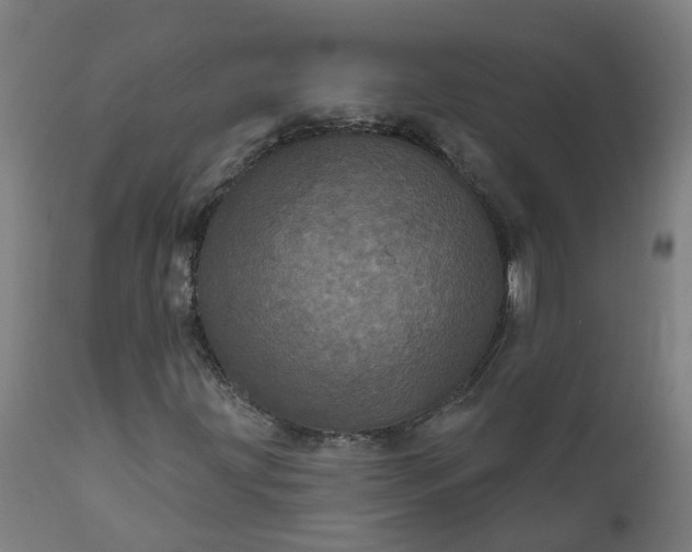 X0000111641203200907311244