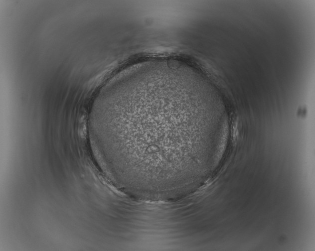 X0000111641204200907311244