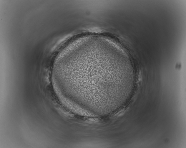 X0000111641205200907311244