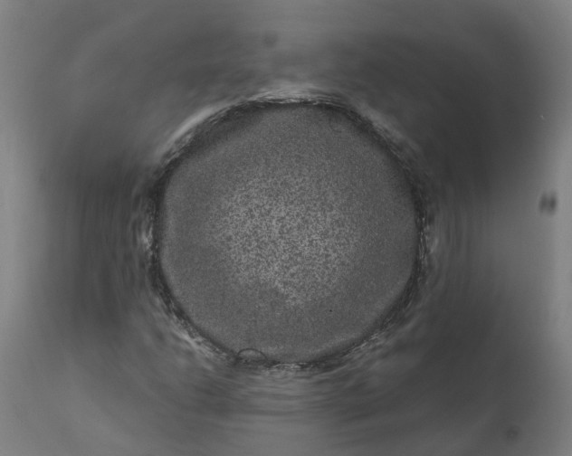 X0000111641206200907311244