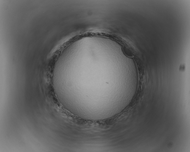 X0000111641207200907311244