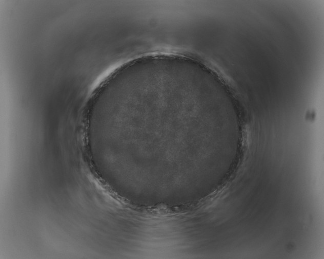 X0000111641208200907311244