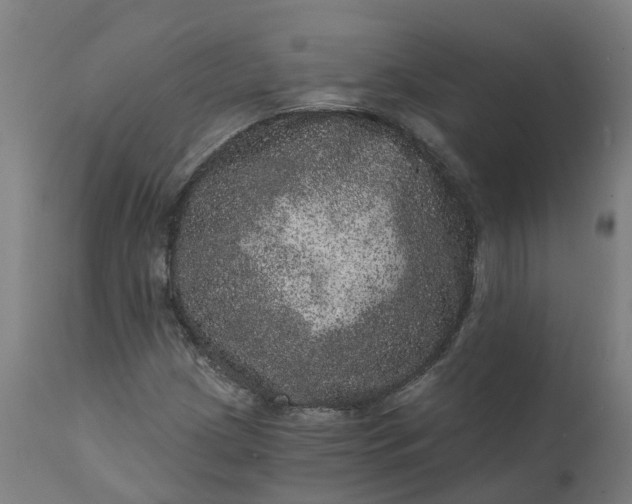 X0000111641209200907311244