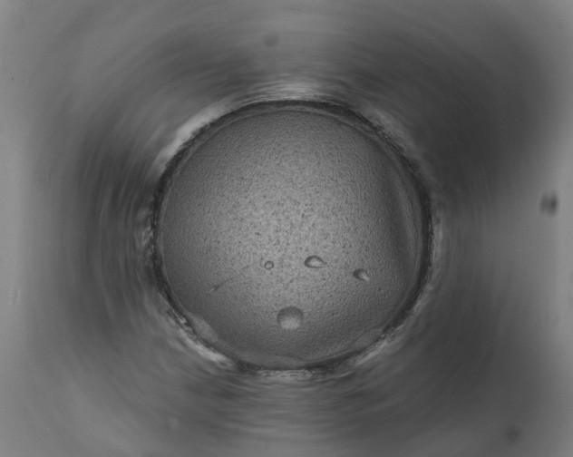 X0000111641210200907311244