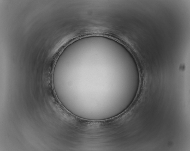 X0000111641211200907311244